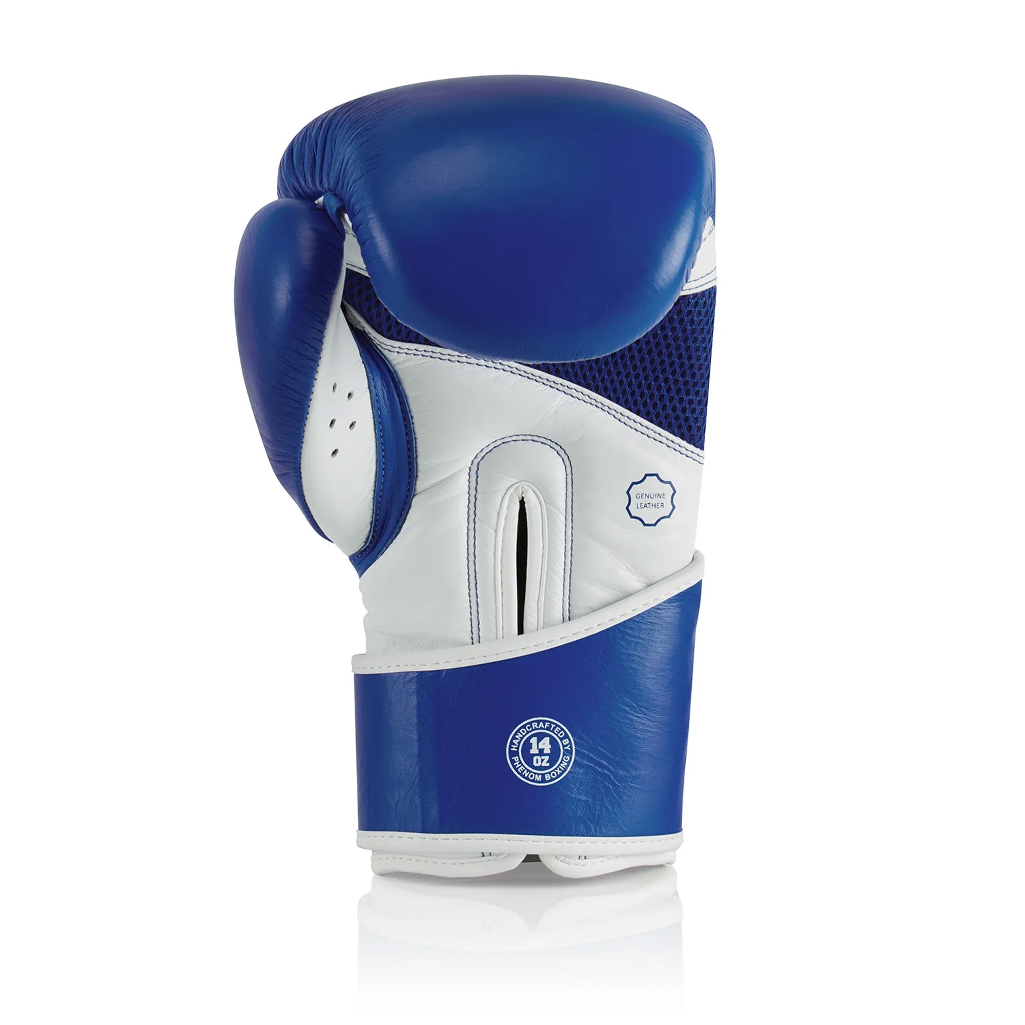 RFG Blue White S4 Sparring Glove - Palm Side View