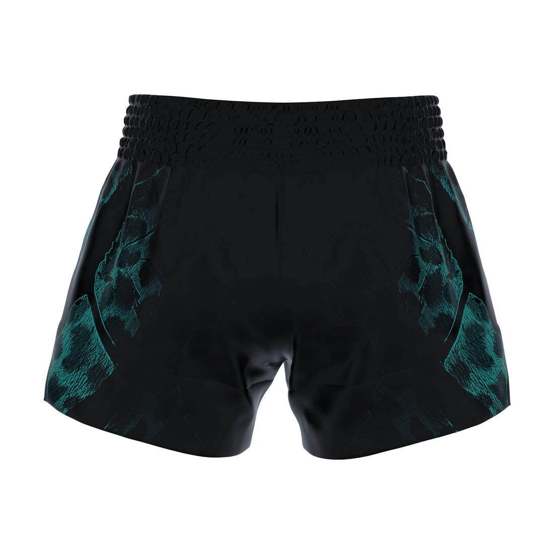 RFG Muay Thai Shorts – Black Teal Dragon